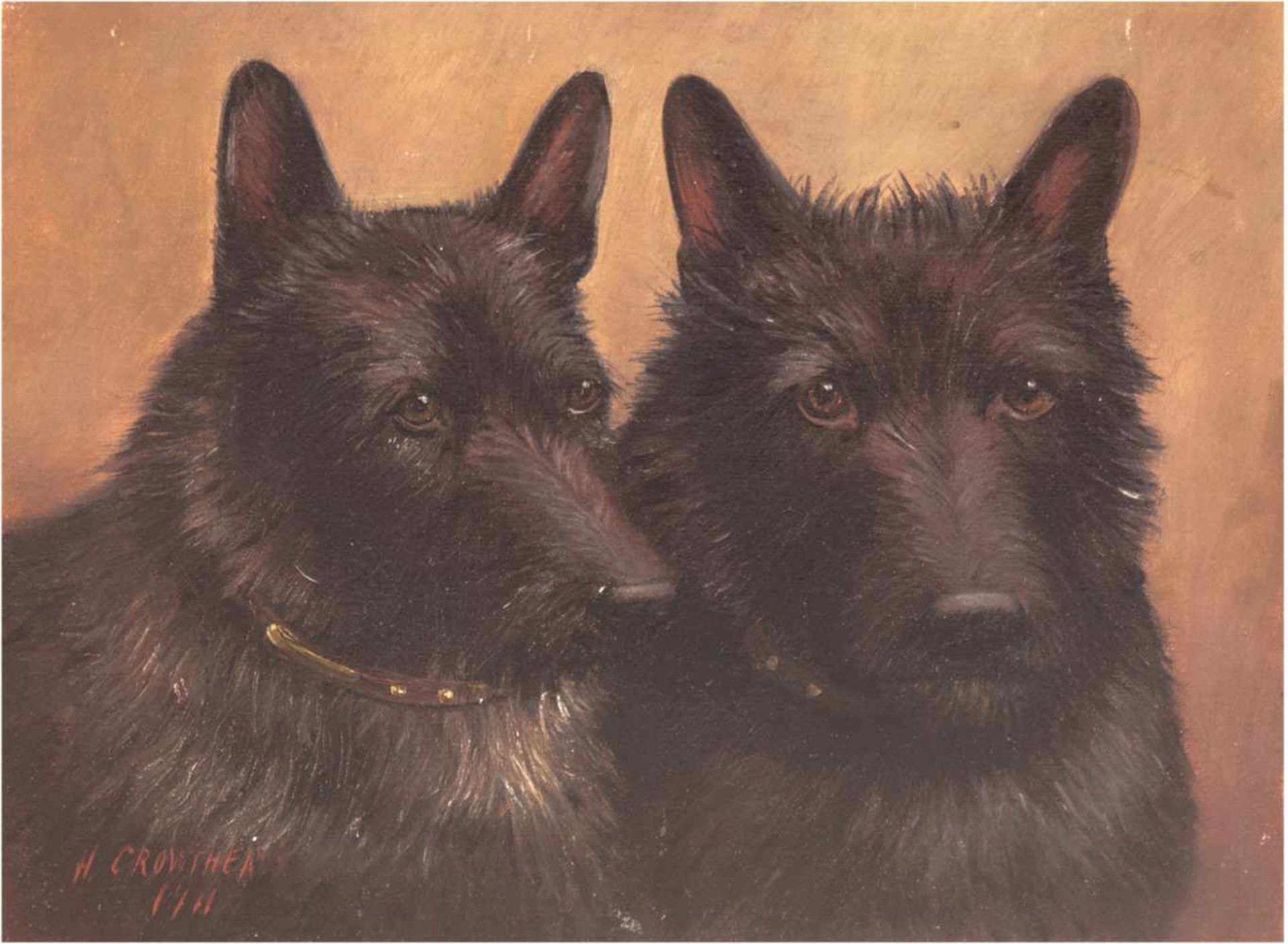 Crowther, H. (Anfang 20. Jh.) "Zwei Highland-Terrier", Öl/Lw., signiert und datiert 1911u.l., min.