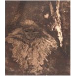 Daerr, Hildegard (1913-2004) "Affe im Wald", Aquatintaradierung, sign. u. dat. '77, 18x14cm, im