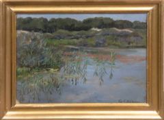 Maler des 19./20. Jh. "Seenlandschaft", Öl/Mp., bez. "Fr. Schaper" u.r., 30x39 cm, Rahmen