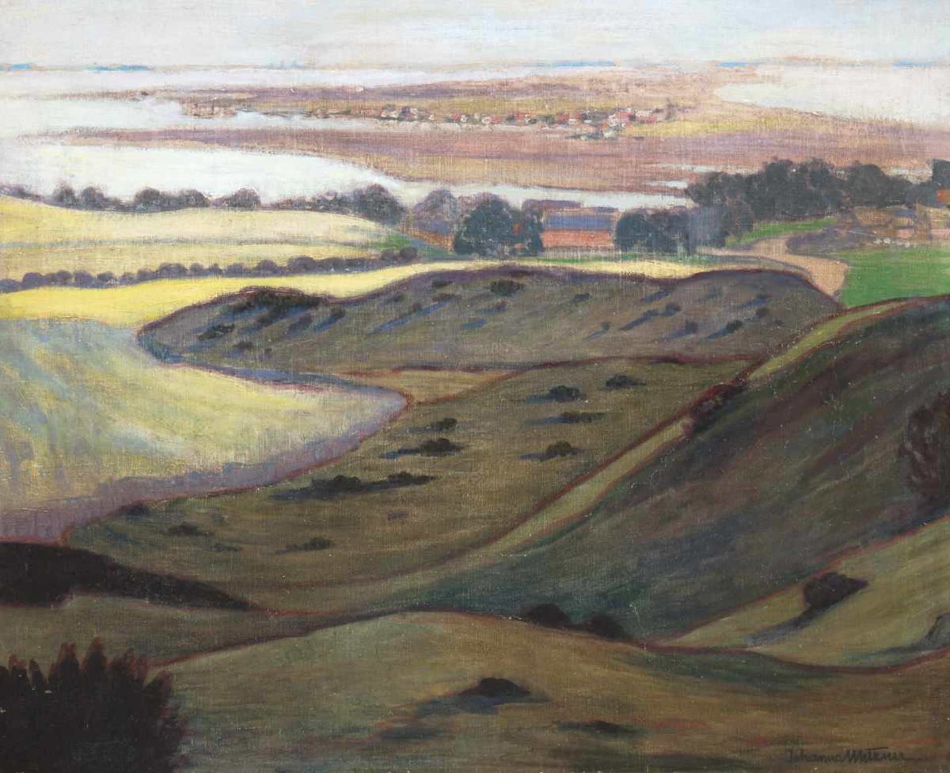 Metzner, Johanna (19./20. Jh.) "Blick auf Hiddensee", Öl/Lw., sign. u.r., 62x73 cm, Rahmen(J.Metzner