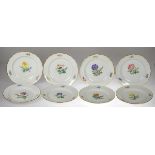 8 Meissen-Speiseteller, Bunte Blume 2, Goldrand, Neuer Ausschnitt, 6x 2 Schleifstriche, 2x1. Wahl,