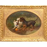 Steffeck, Carl Constantin (1818 Berlin- 1890 Königsberg) " Zwei mit Ball spielende Hunde",Öl/Hf.,