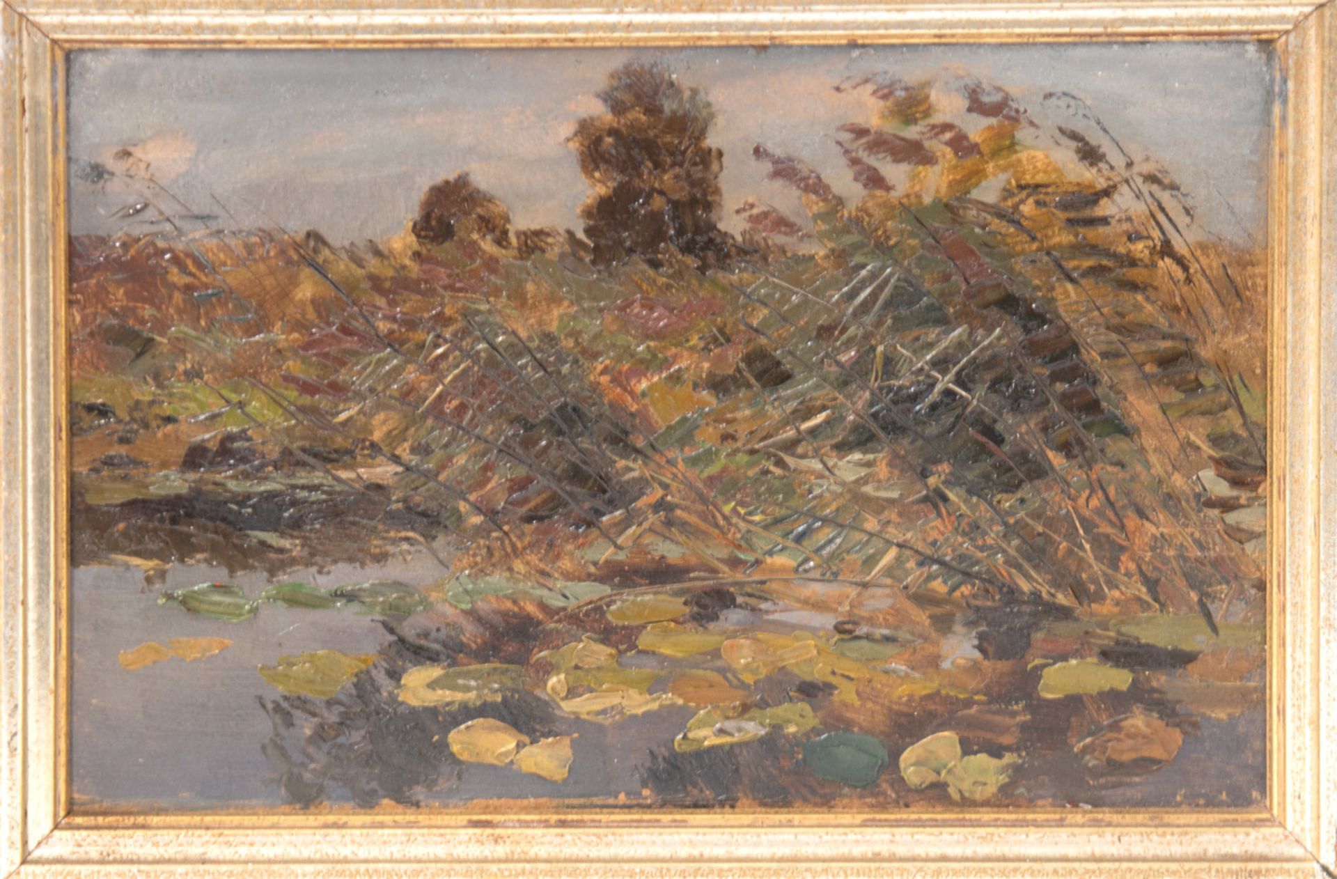 John, Eugen (1863 Berlin-1931 Berlin) "Teichlandschaft mit Seerosen", Öl/Mp., rücks. bez.,12x18