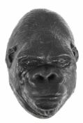 Maske des Gorillas "Knorke", halbplastischer Gipsabdruck, schwarz gefaßt, der Gorilla (1963-2003)