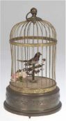 Vogelkäfig-Spieluhr, Metallgehäuse mit dezentralem Vogel, der sich bewegt, funktionsfähig,