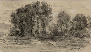 Wolf, Georg (1882 Düsseldorf- 1962 Uelzen) "Landschaft mit Bäumen", Kohlestift/Papier u.wei