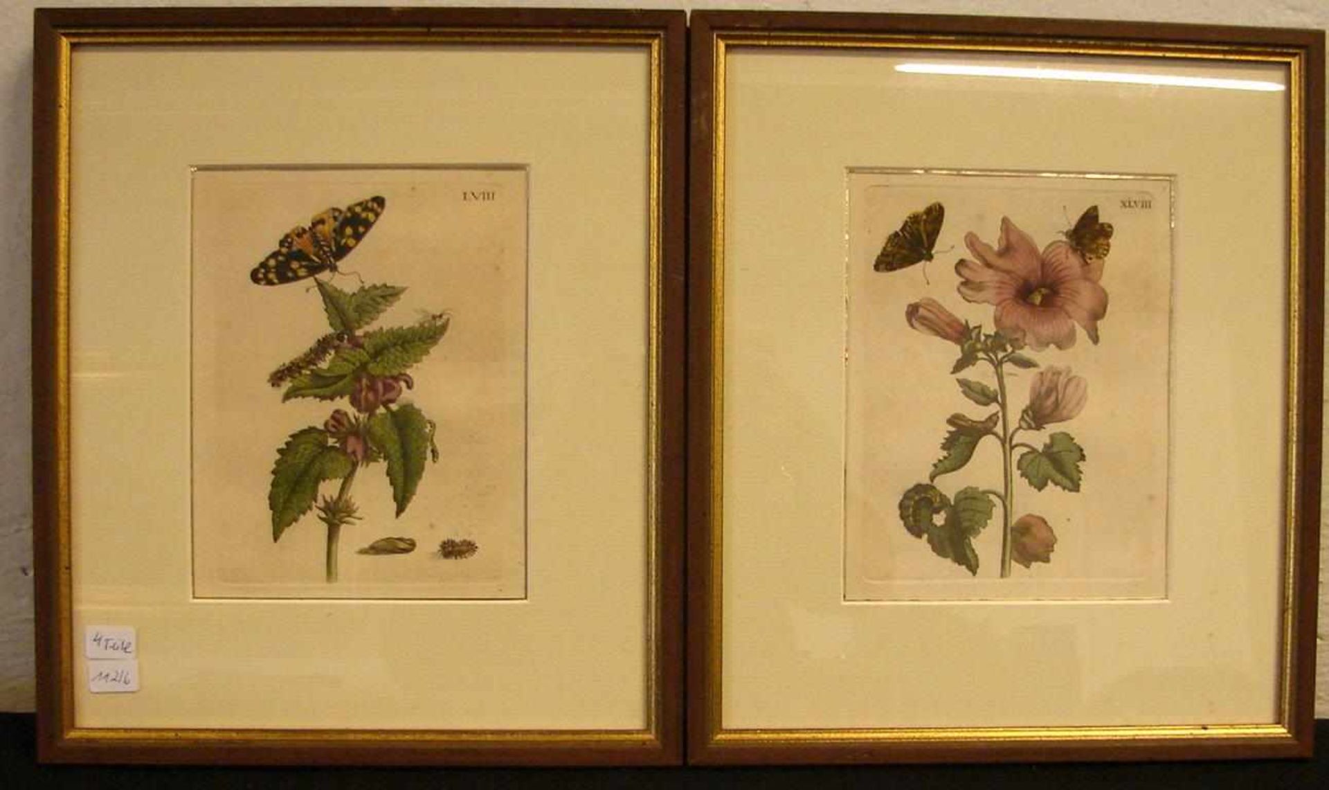 4 Farbstiche, Blumen/Pflanzenmotive, ca. 16 x 13 cm
