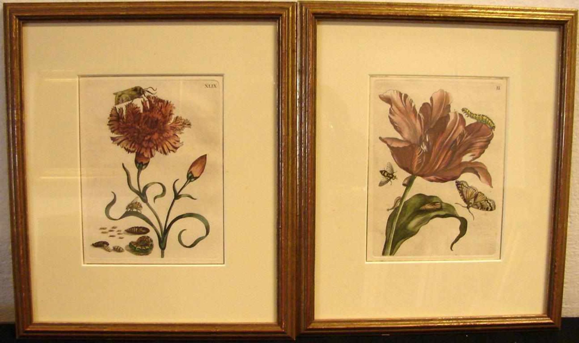 4 Farbstiche, Blumen/Pflanzenmotive, ca. 16 x 13 cm - Bild 2 aus 2