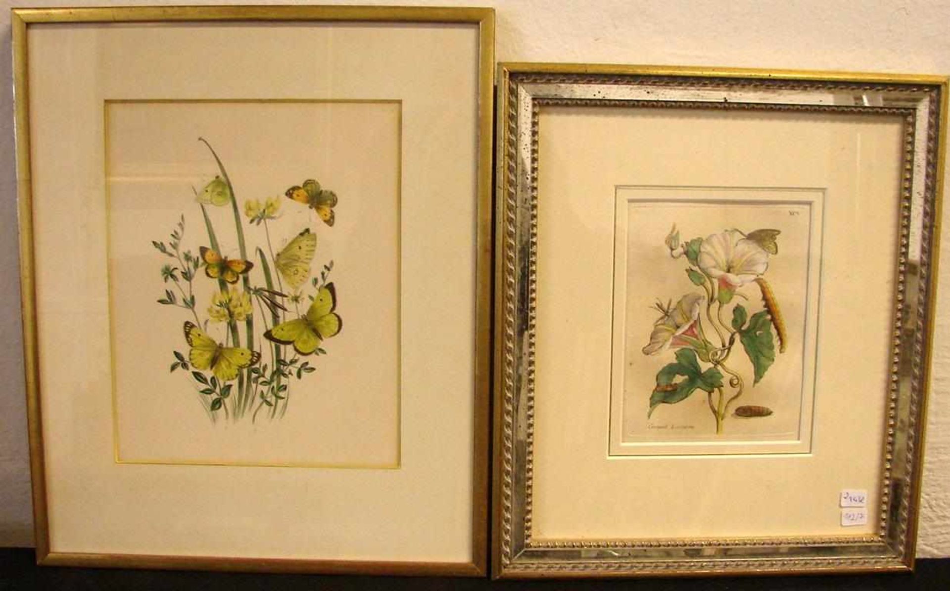 2 Farbstiche, Pflanzenmotive, ca. 14 x 17 / 25 x 20 cm