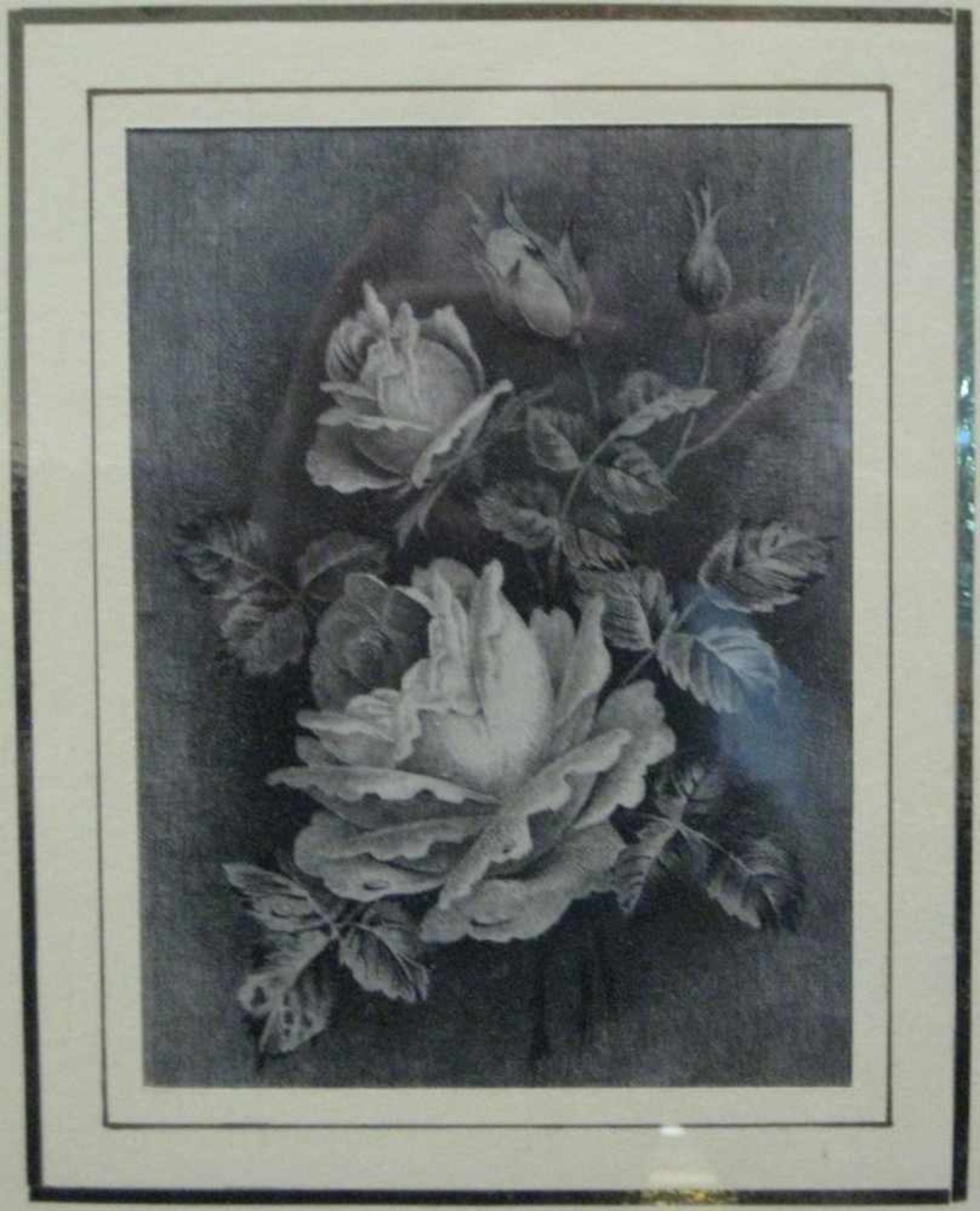 Berg, Renard v.d., 1. Hälfte 19. Jahrhundert, "Rosenast", feine Radierung, 14,5 x 11 cm, R. (Glas