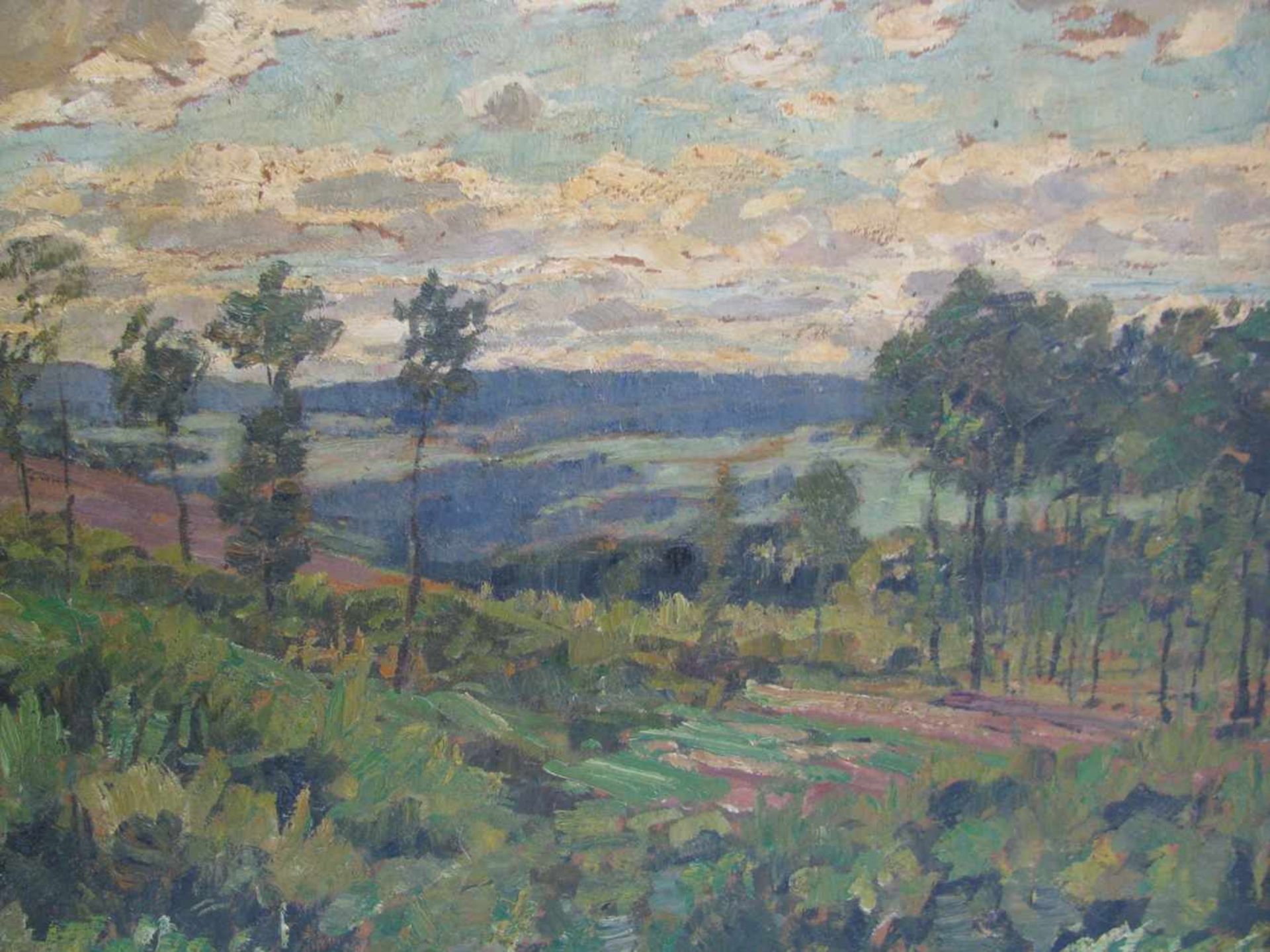 Nagel, Wilhelm, 1866 - 1945, Mannheim - Baden-Baden, "Landschaft auf der Alb", re.u.sign., Öl/ - Bild 2 aus 3