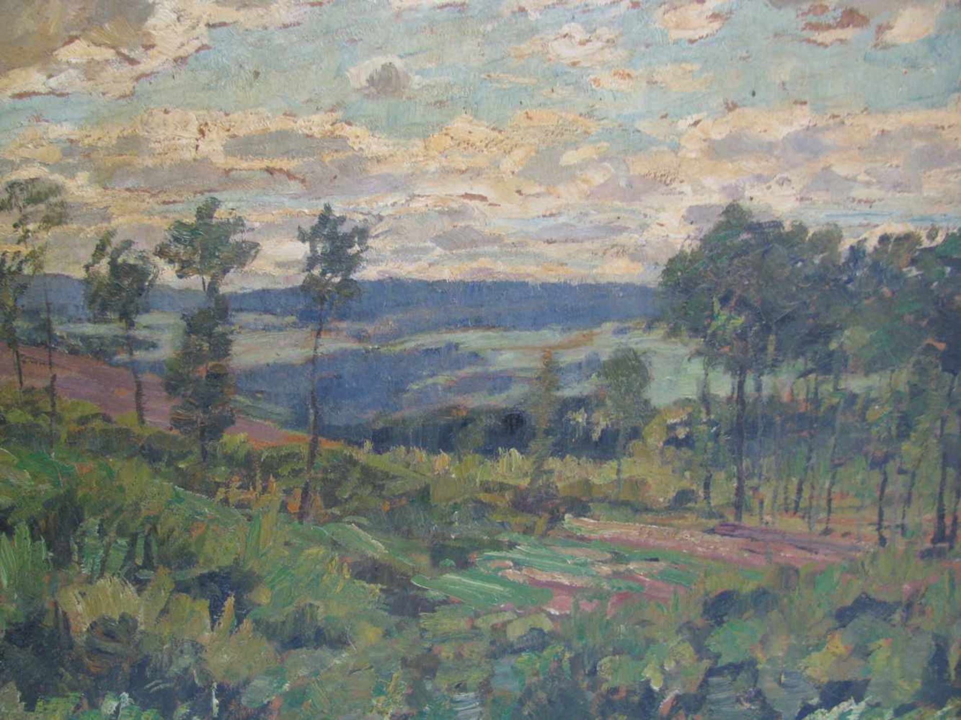 Nagel, Wilhelm, 1866 - 1945, Mannheim - Baden-Baden, "Landschaft auf der Alb", re.u.sign., Öl/ - Image 2 of 3