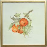 Hedi Keding, "Äpfel", 2. Hälfte 20. Jahrhundert, Aquarell, unten rechts signiert und betitelt, HB