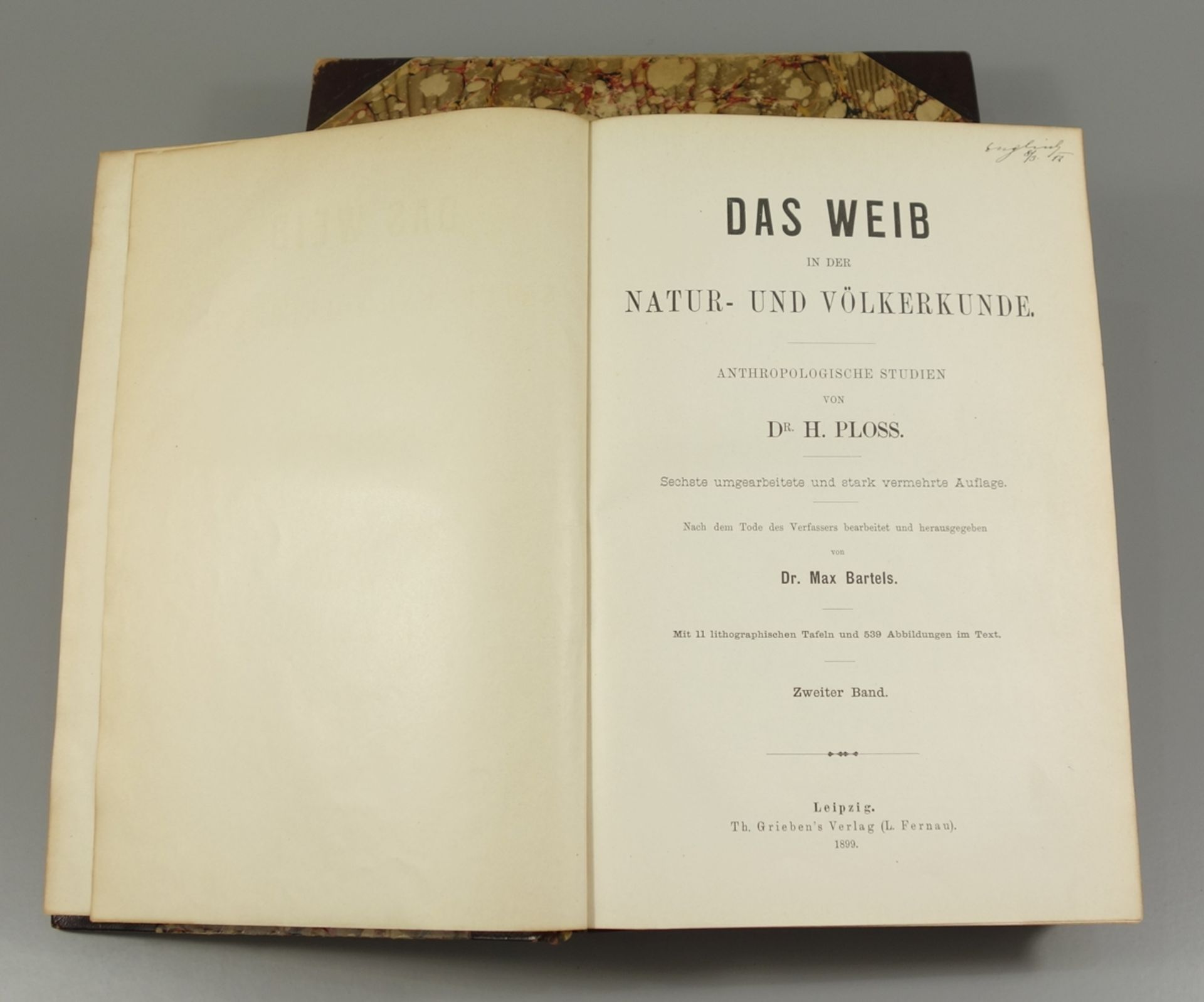 "Das Weib in der Natur- und Völkerkunde" in 2 Bdn., 1899, anthropologische Studien von Dr.H.Ploss, - Bild 2 aus 3
