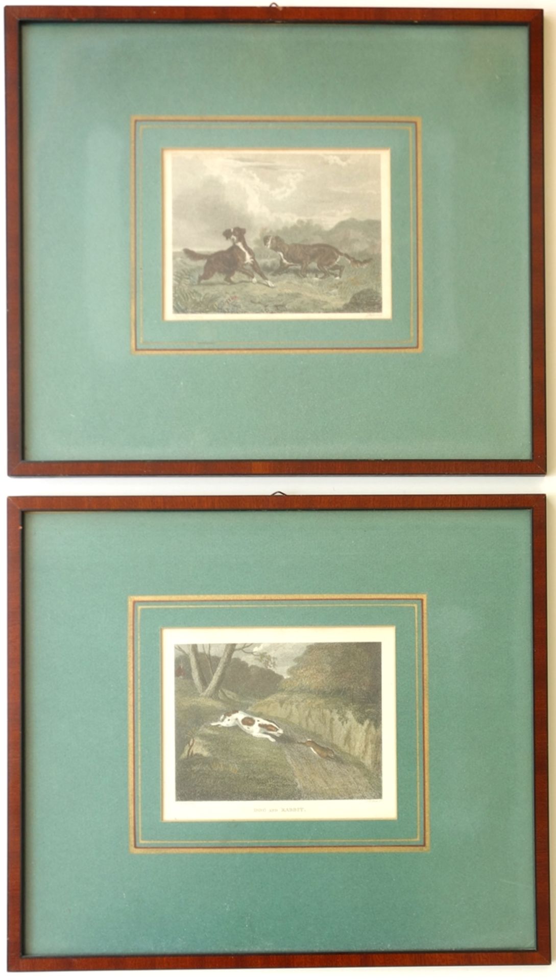 2 kolorierte Stahlstiche "Jagdhunde", 19. Jahrhundert, in Passepartout, verglast gerahmt, Gesamt-H*B