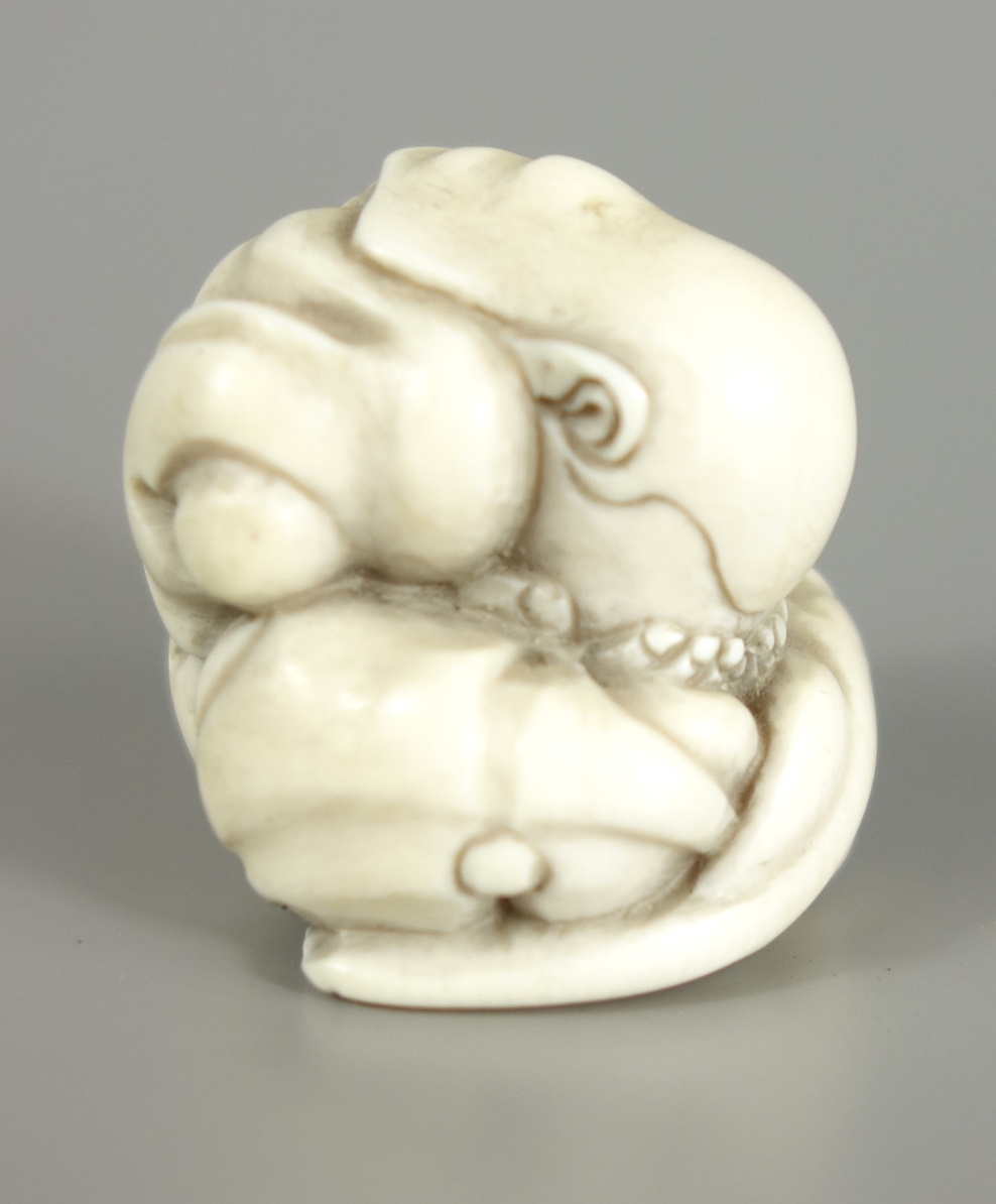 Netsuke, Elfenbein, 1. Hälfte 20. Jh., Japan, unterseitig signiert, eng zusammengeschlungener Mann,