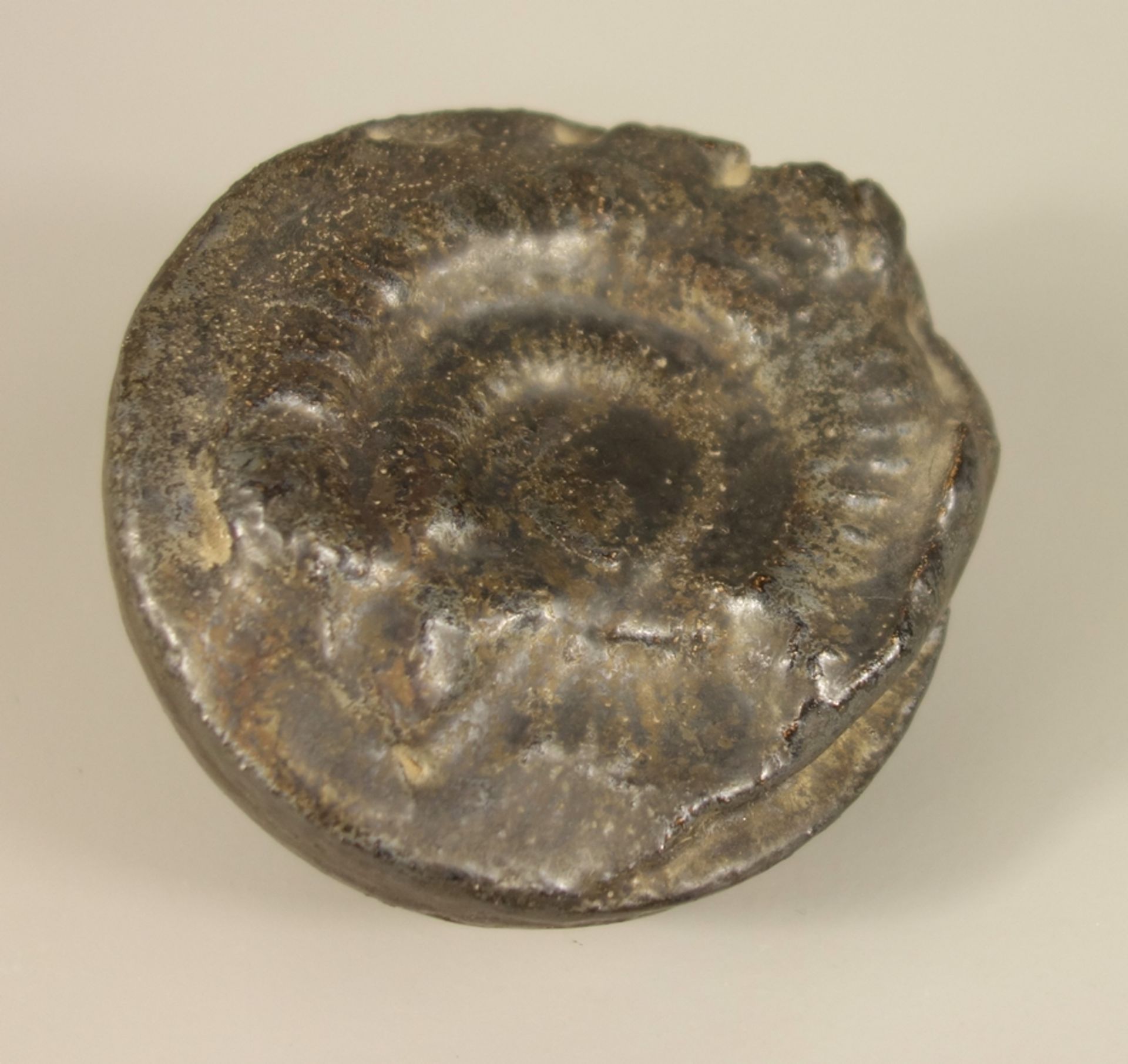 Halbkugel mit Ammonit, Studiokeramik, signiert, unglasierter Stand, rückseitig ungedeutete