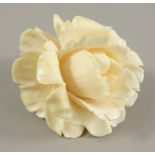 Brosche, Erbacher Rose, um 1920/30, Bein, Gew.12,32g, minimal bestoßen, L*B 3,7*3,3cm Brooch,