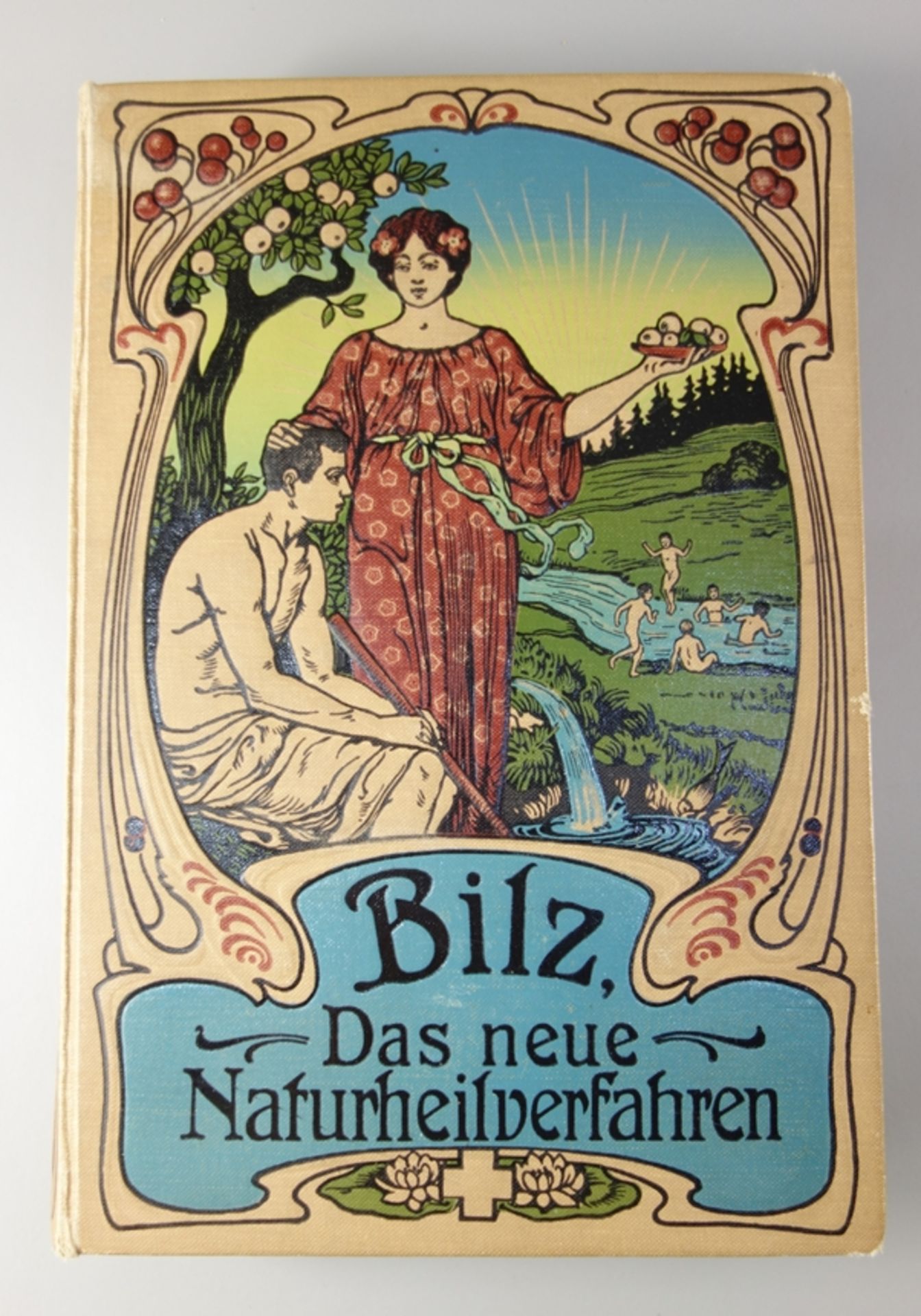 Bilz - Das neue Naturheilverfahren in 2 Bdn. und Supplement-Band, um 1900, "Ein Ratgeber in