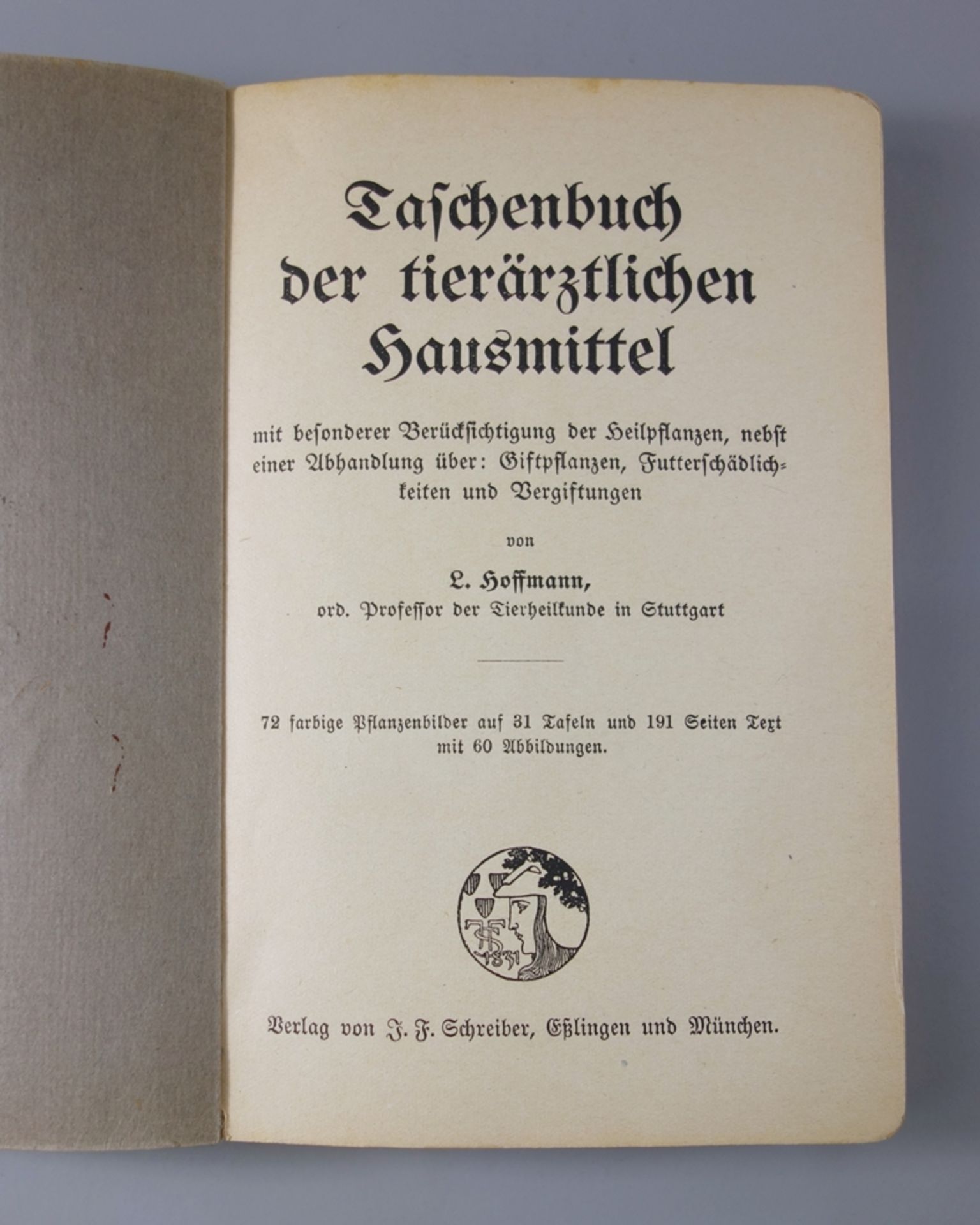 Taschenbuch der tierärztlichen Hausmittel, L.Hoffmann, 1919, mit besonderer Berücksichtigung der - Bild 3 aus 4