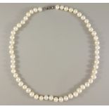 Perlencollier mit Silberschließe, Einzelverknotung, weiß schillernd, Perlen-D.ca.7mm, Ketten-L.ca.