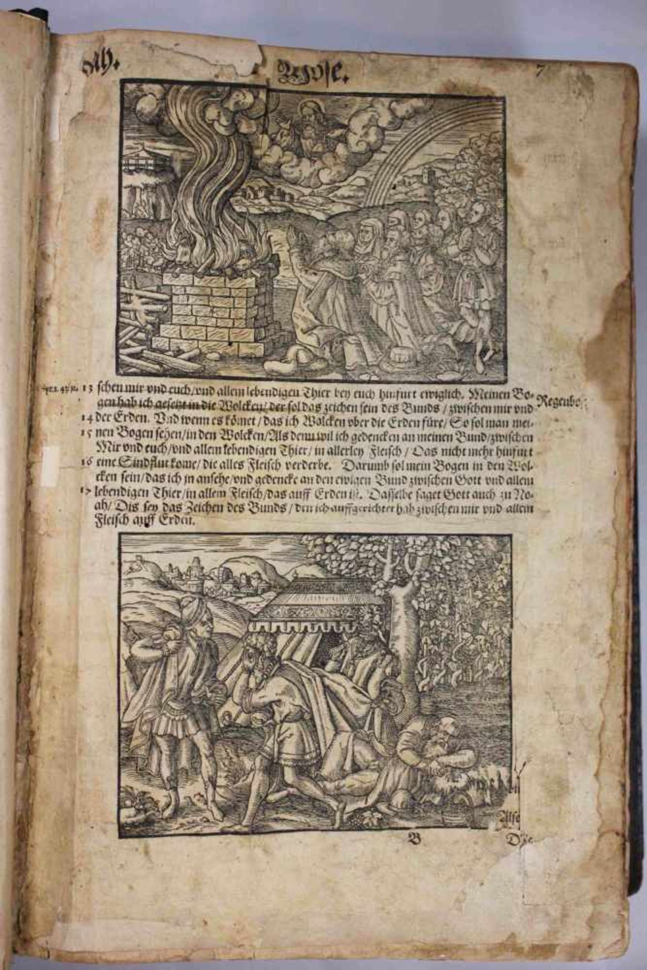 Buch der Propheten von D. Martin Luther, gedruckt von Johann Krafft, Wittenberg 1590, Maße: 37,5 x - Bild 3 aus 3