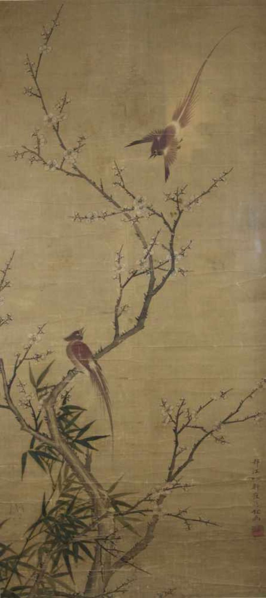 Japanisches Rollbild, Kakemono, Zwei Vögel und Sakura, sign., Darstellung: 102 x 46,5 cm, in