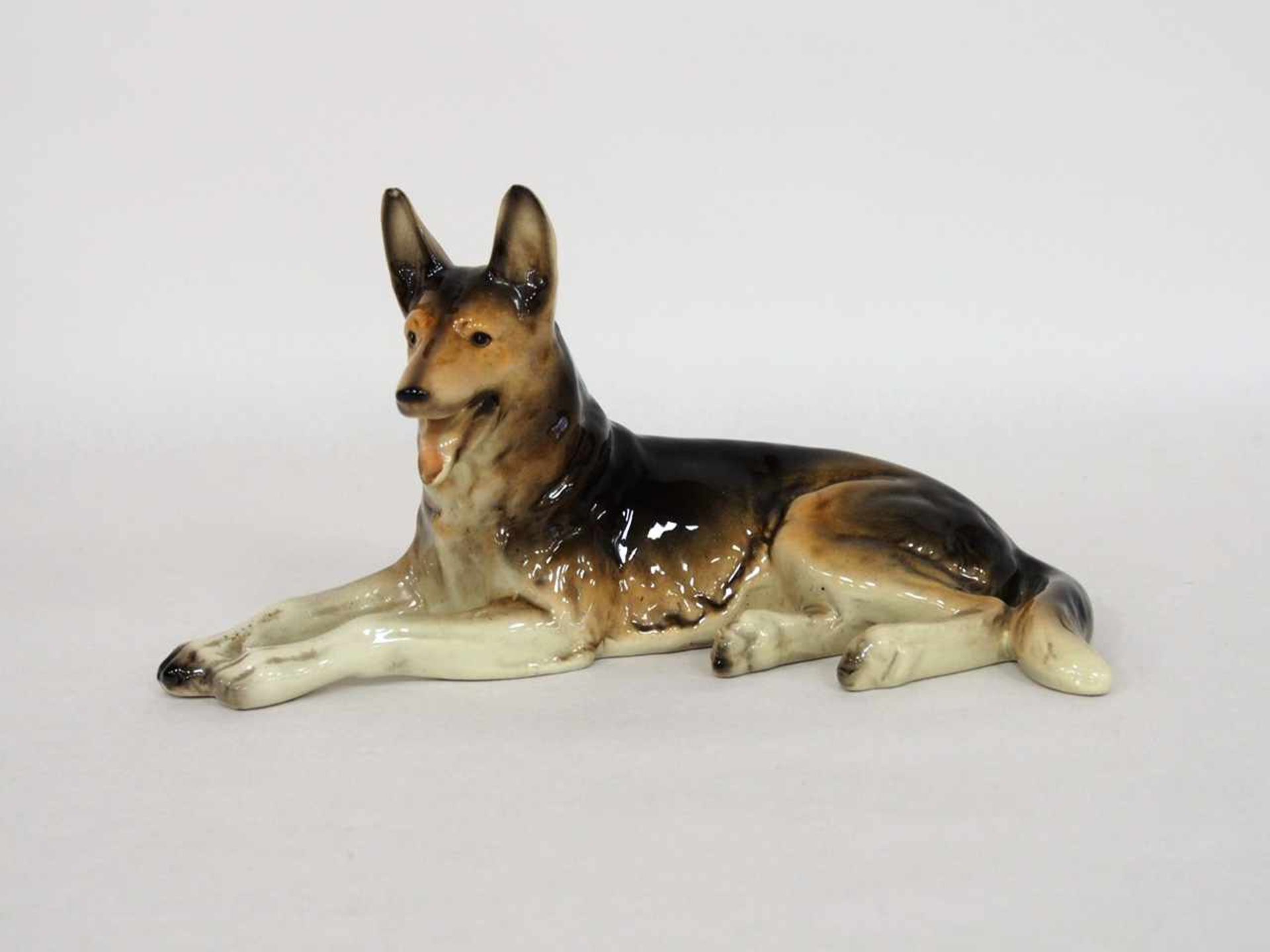 Liegender SchäferhundPorzellan, bemalt, bodenseitig Modellnummer 2205 B, Höhe 12 cm, Länge 25 cm