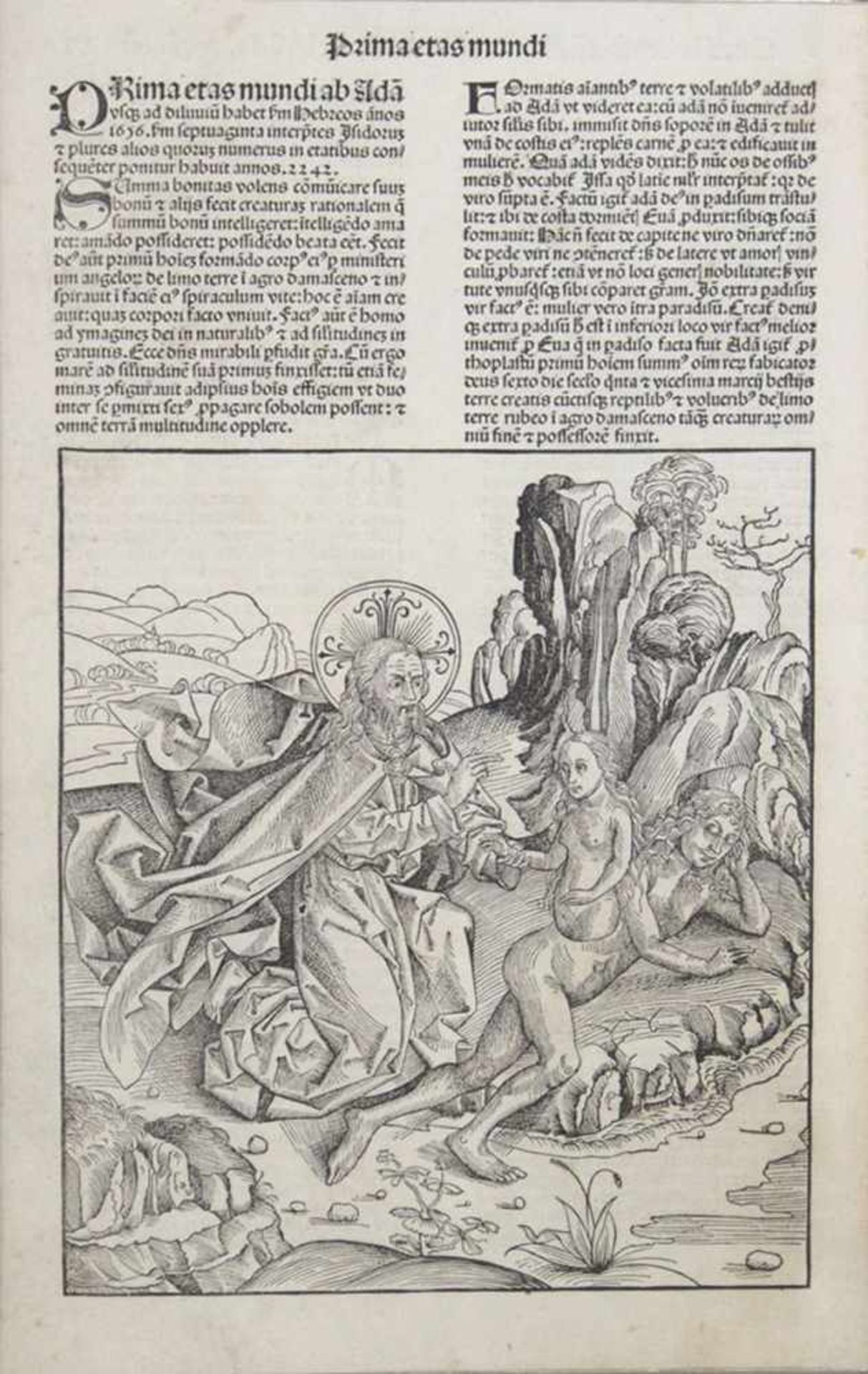 Erschaffung der EvaHolzschnitt, aus: Schedelsche Weltchronik, Nürnberg 1493, 41 x 26 cm, gerahmt
