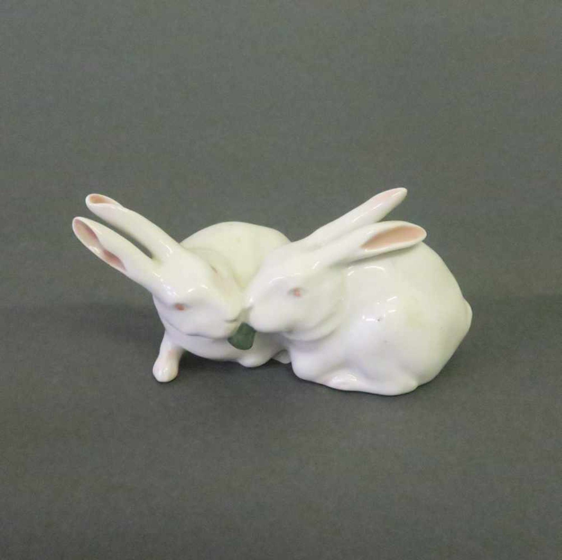 Kaninchenpaar