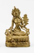 Bodhisattva