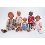 Fünf diverse Schildkröt Puppen