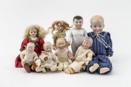 Konv. von acht Puppen