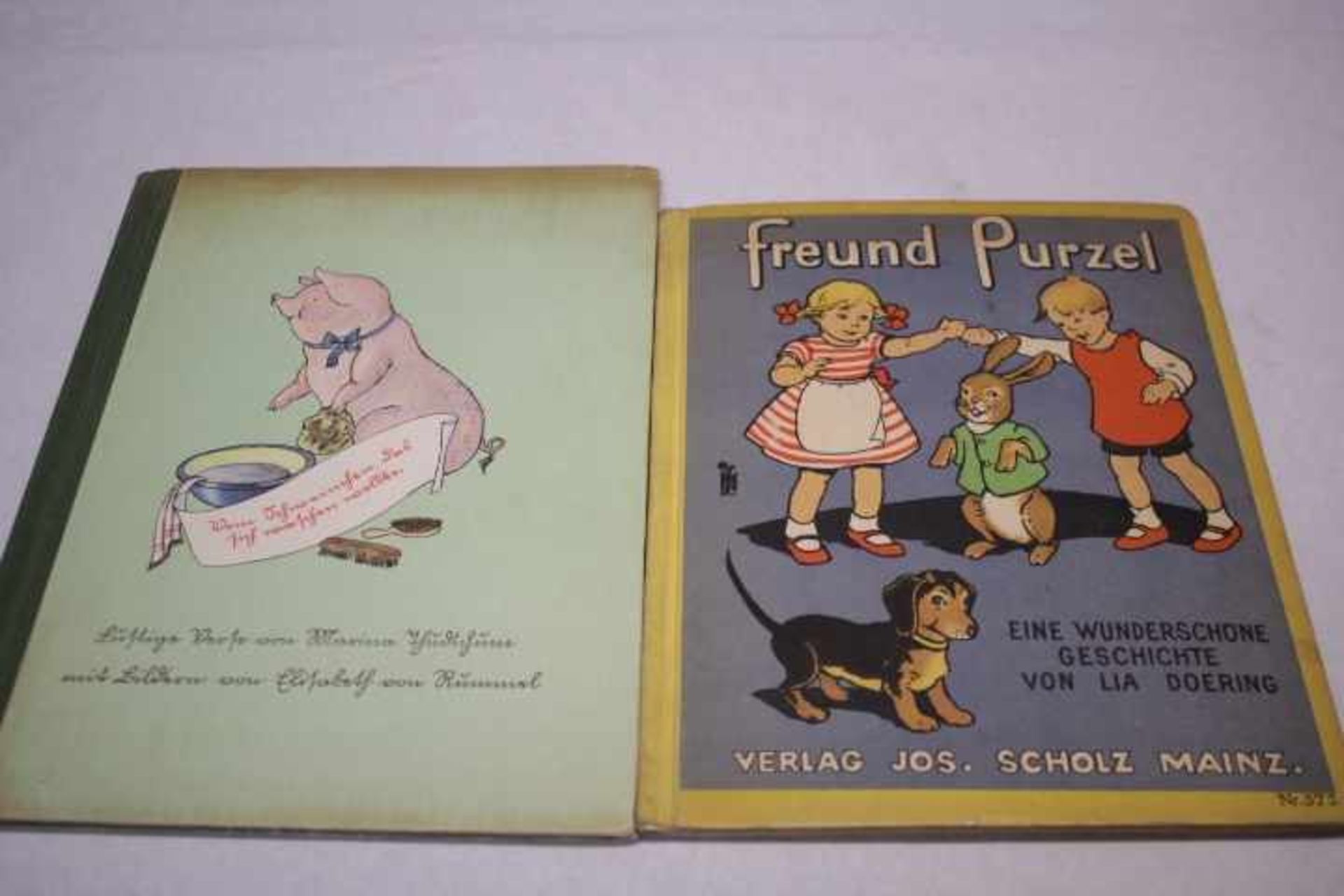 2 Kinderbücher1.Freund Purzel eine Wunderschöne Geschichte von Lia Doering2.Vom Schweinchen das sich