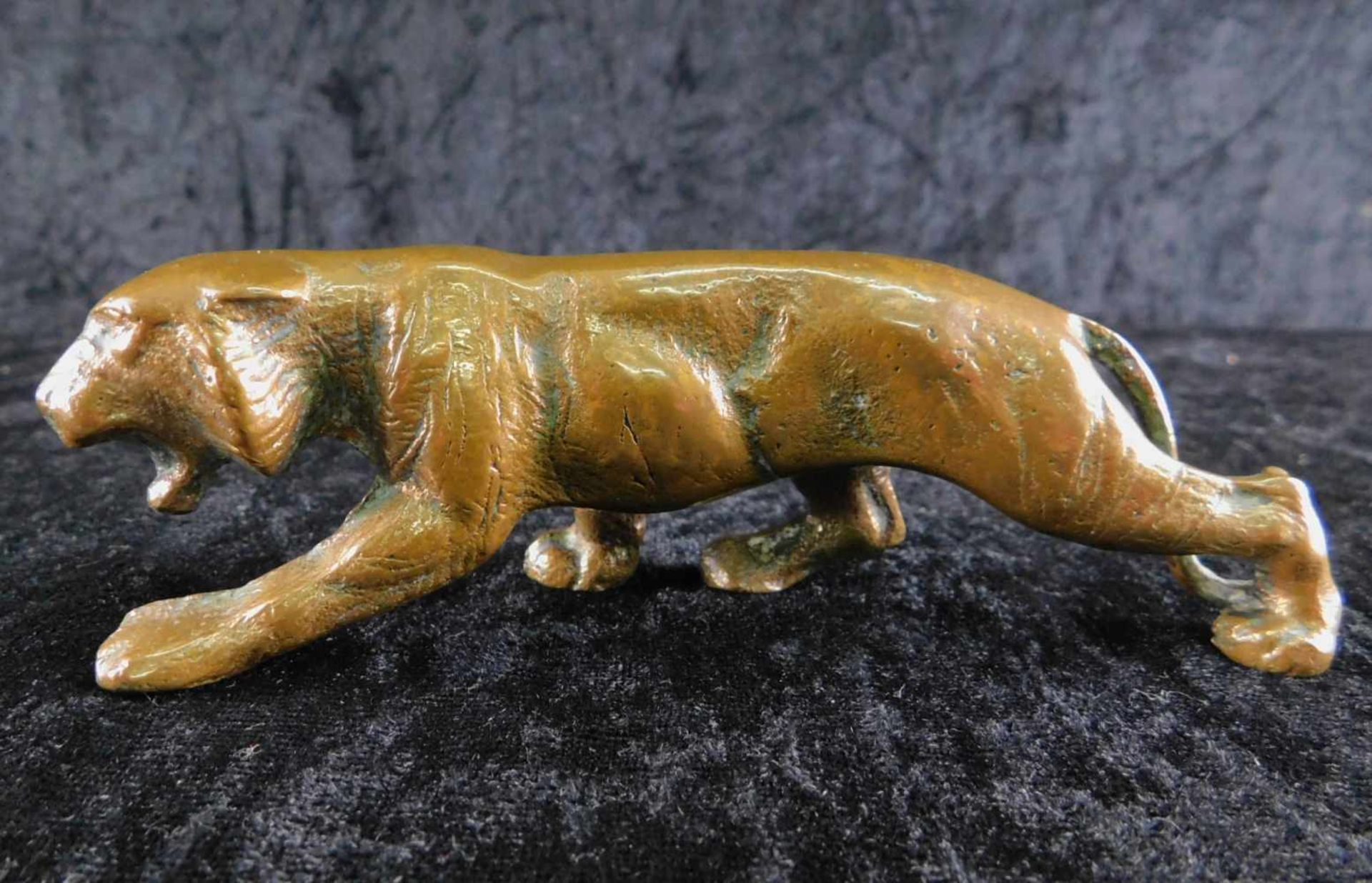 Tiger, Bronze, 2. H. 20. Jhdt., Länge 14 cm, 630 g