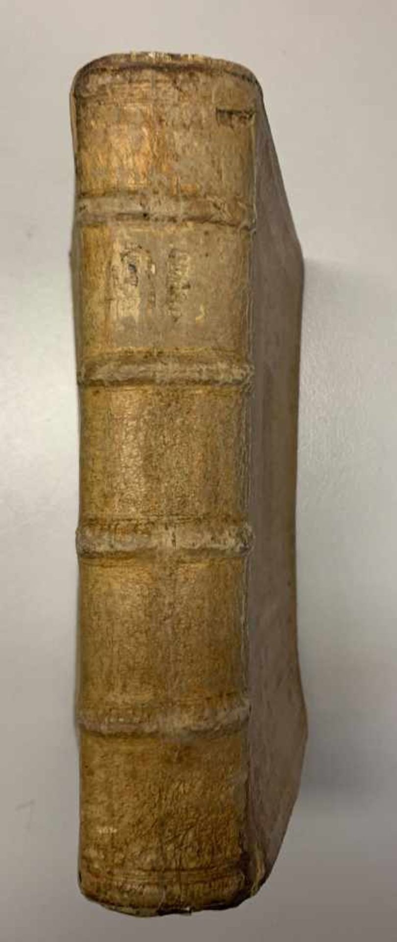 M. Valerii Martialis: Epigrammatum Libri XV. Paris 1607. sächsischer Wappeneinband. Schweinsleder. - Image 7 of 8
