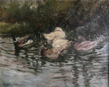 Philipp Wirth (Miltenberg 1808 - 1878), Fünf Enten im Teich, signiert, Öl/Karton, rücks.