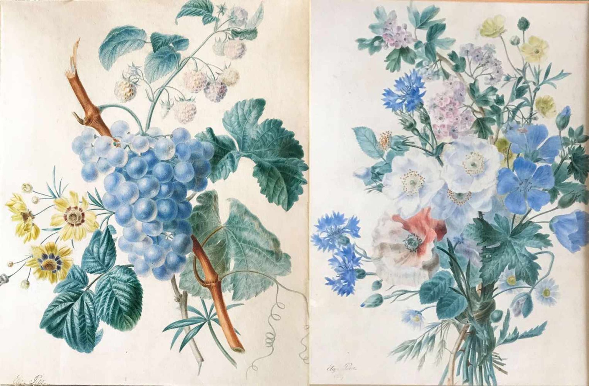 Elisa-Honorine Champin (gest. 1871 in Paris, franz. Aquarellistin, Mädchenname "Pitet"), zwei