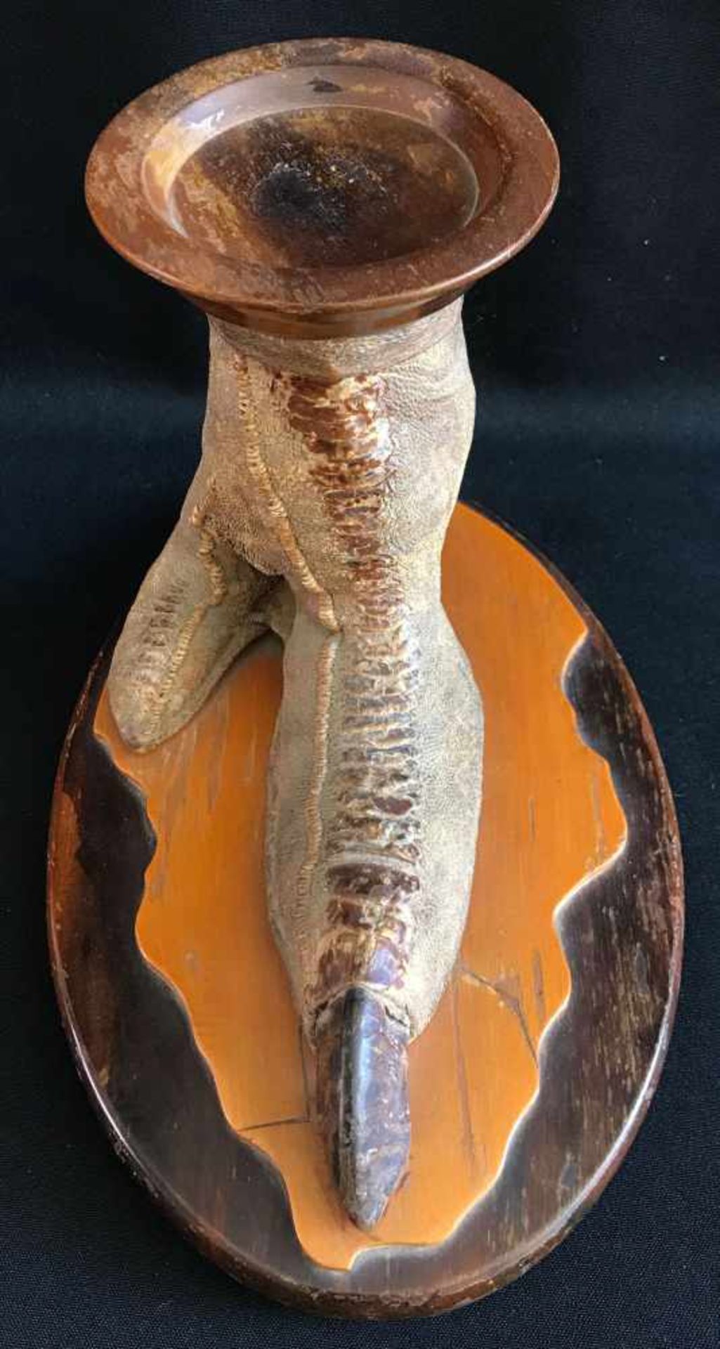 Straußenfuß auf ovaler Holzplatte, Tierpreparat, Kunstkammerobjekt, 17,5 cm, leichte Altersspuren - Image 3 of 3