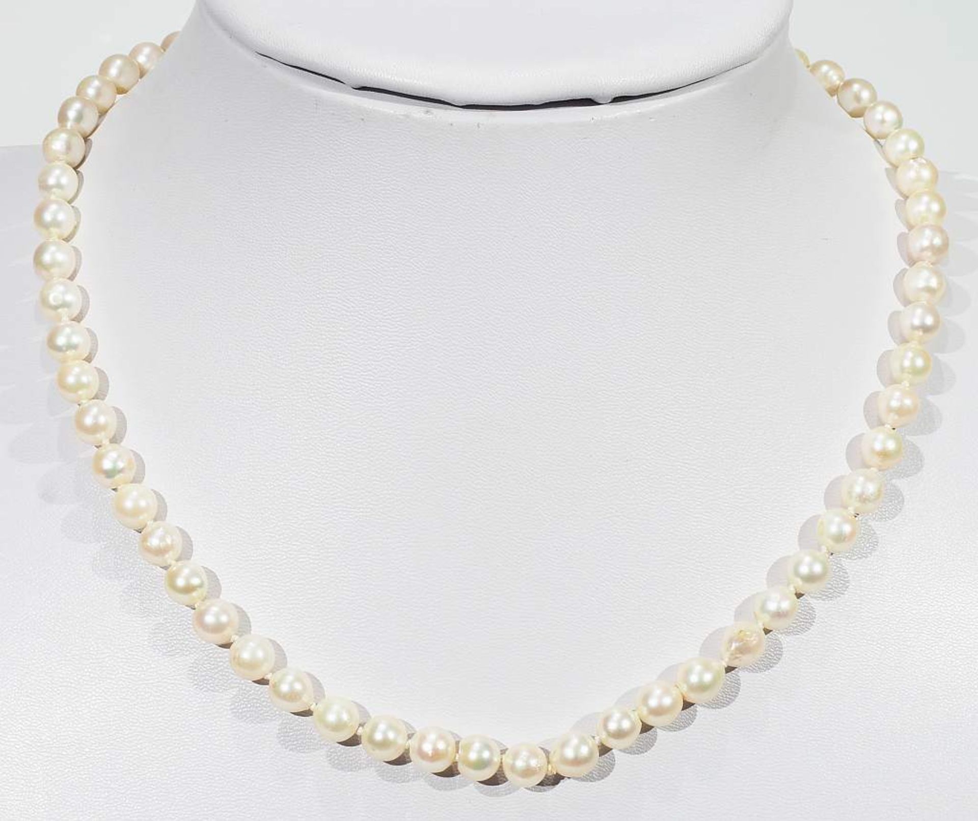 Akoya Zuchtperlenkette, einzeln verknotet. Ø der Perle ca. 6,7 mm, Länge der Kette ca. 46 cm. - Bild 2 aus 6