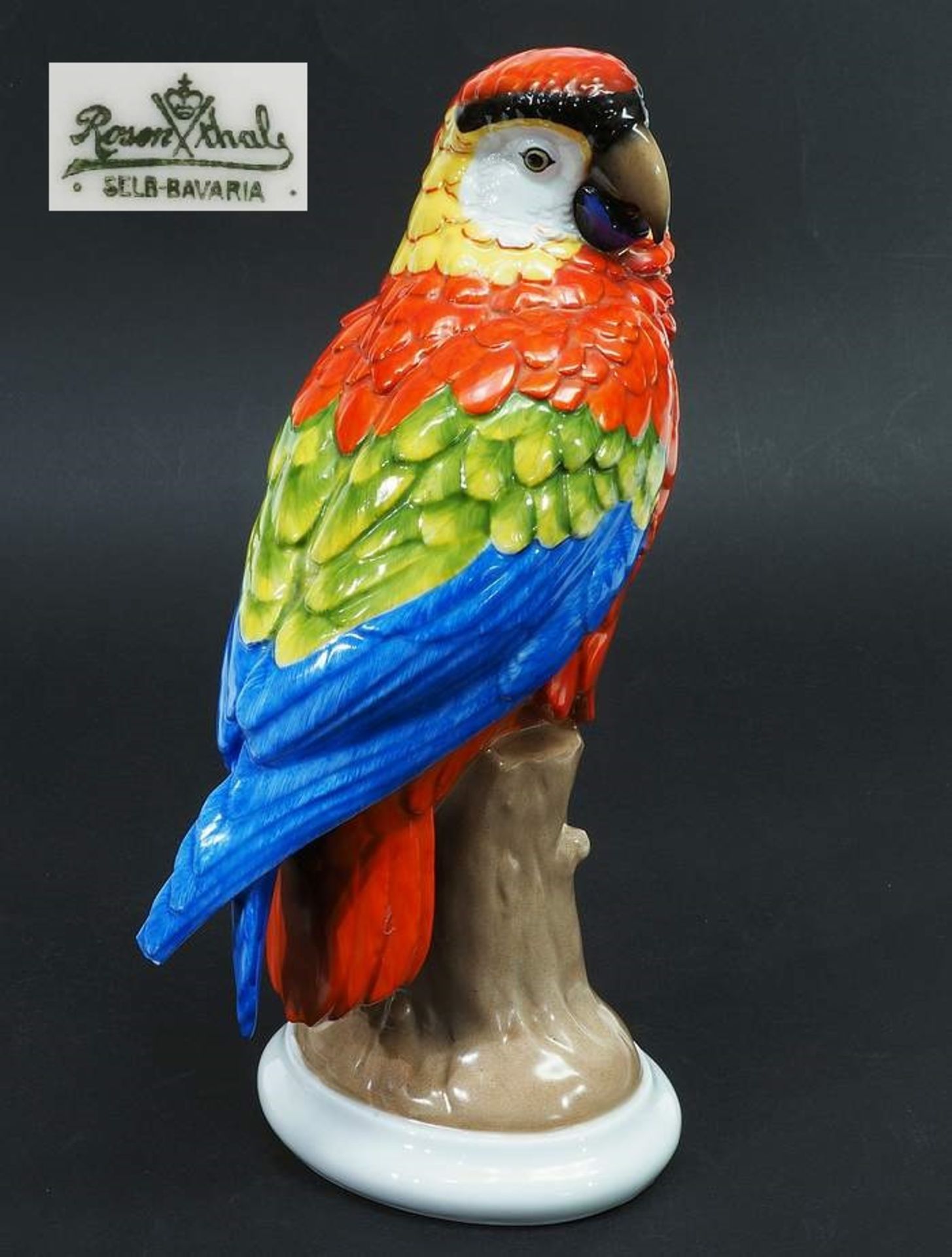 Papagei auf Baumstumpf. ROSENTHAL Selb Bavaria, Marke 1910 - 1945, Modellnummer H 749. Sitzender<br