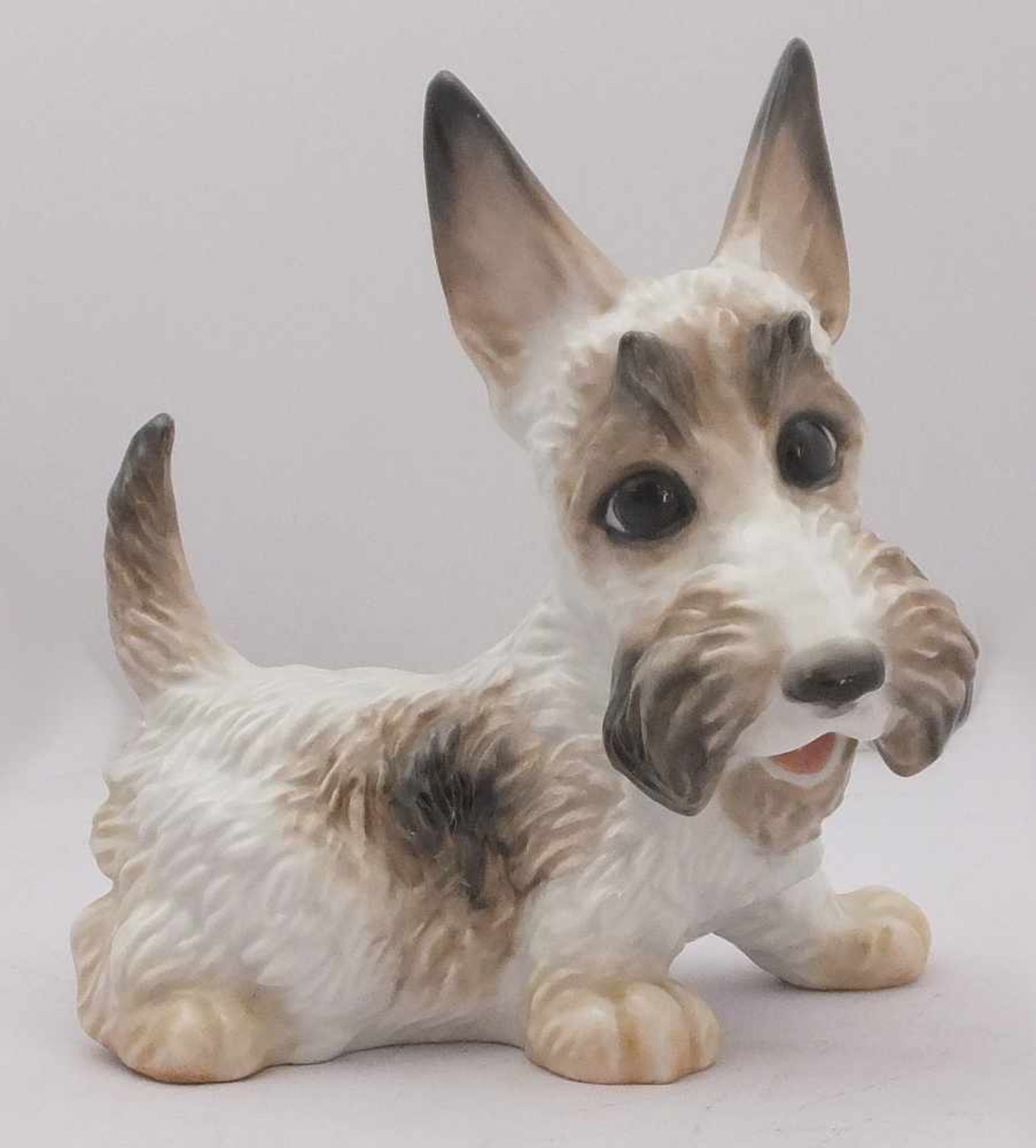 Figur PorzellanROSENTHAL wohl Anfang 20. Jh. "Yorkshire Terrier" Unterglasurbemalung H ca. 15cm ber.