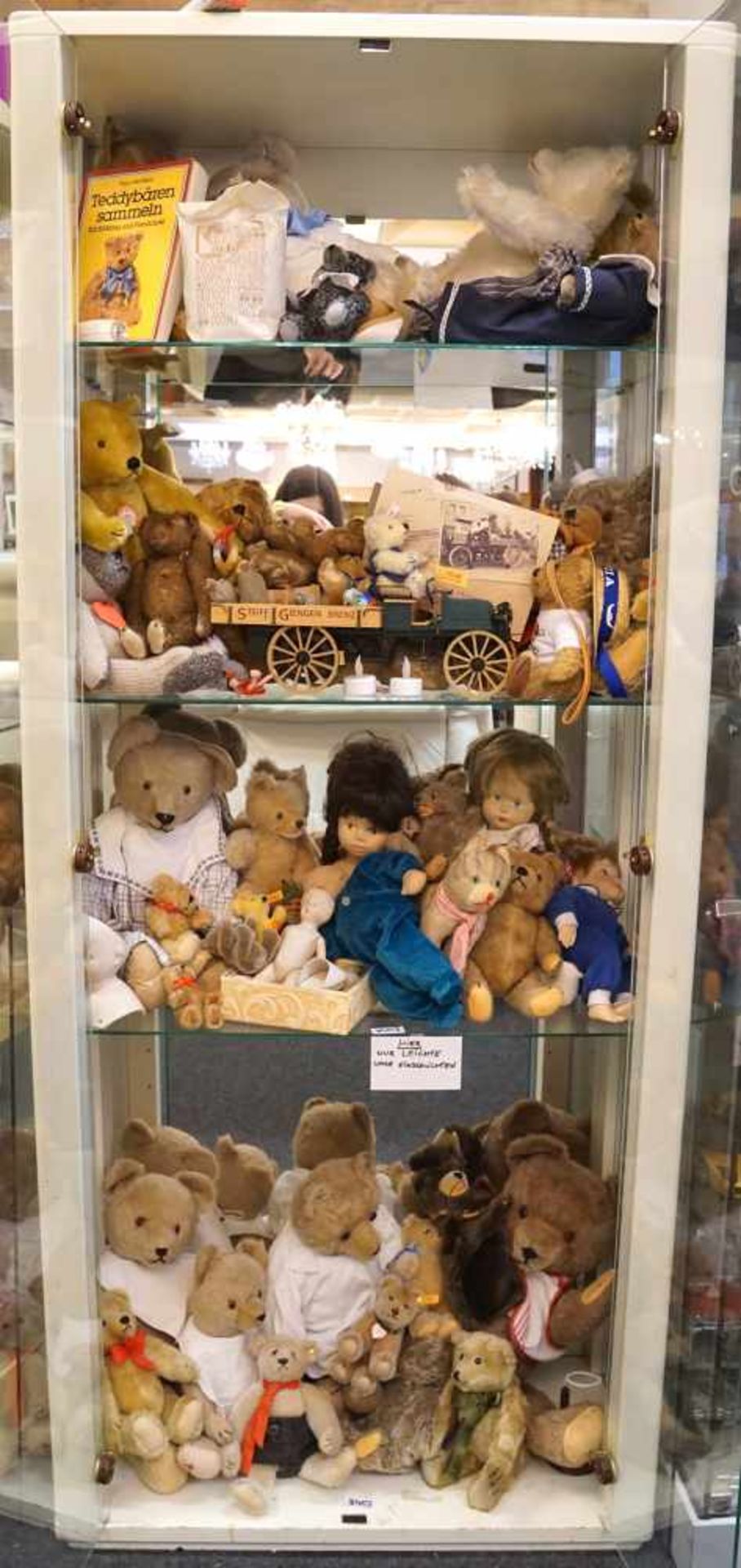 1 Sammlung Teddybären