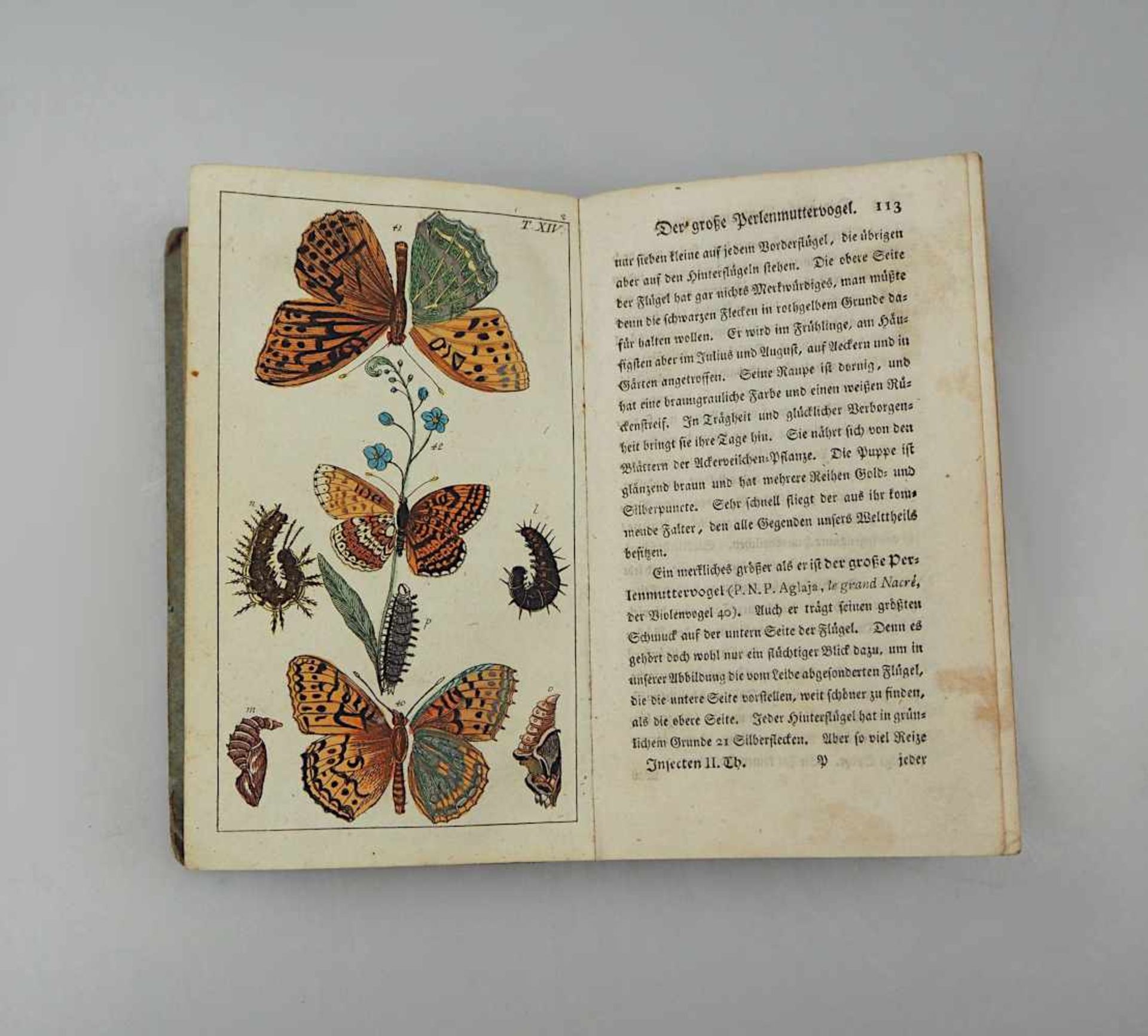 1 Buch "Unterhaltung aus der Naturgeschichte" Augsburg 1797 herausgegeben von der Mark Engelbrech