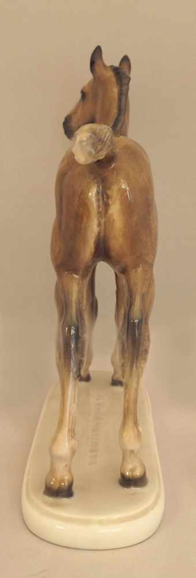 1 Figur Porzellan ROSENTHAL "Fohlen", Entwurf Albert Hinrich HUSSMANN (1874-1946), - Image 2 of 6