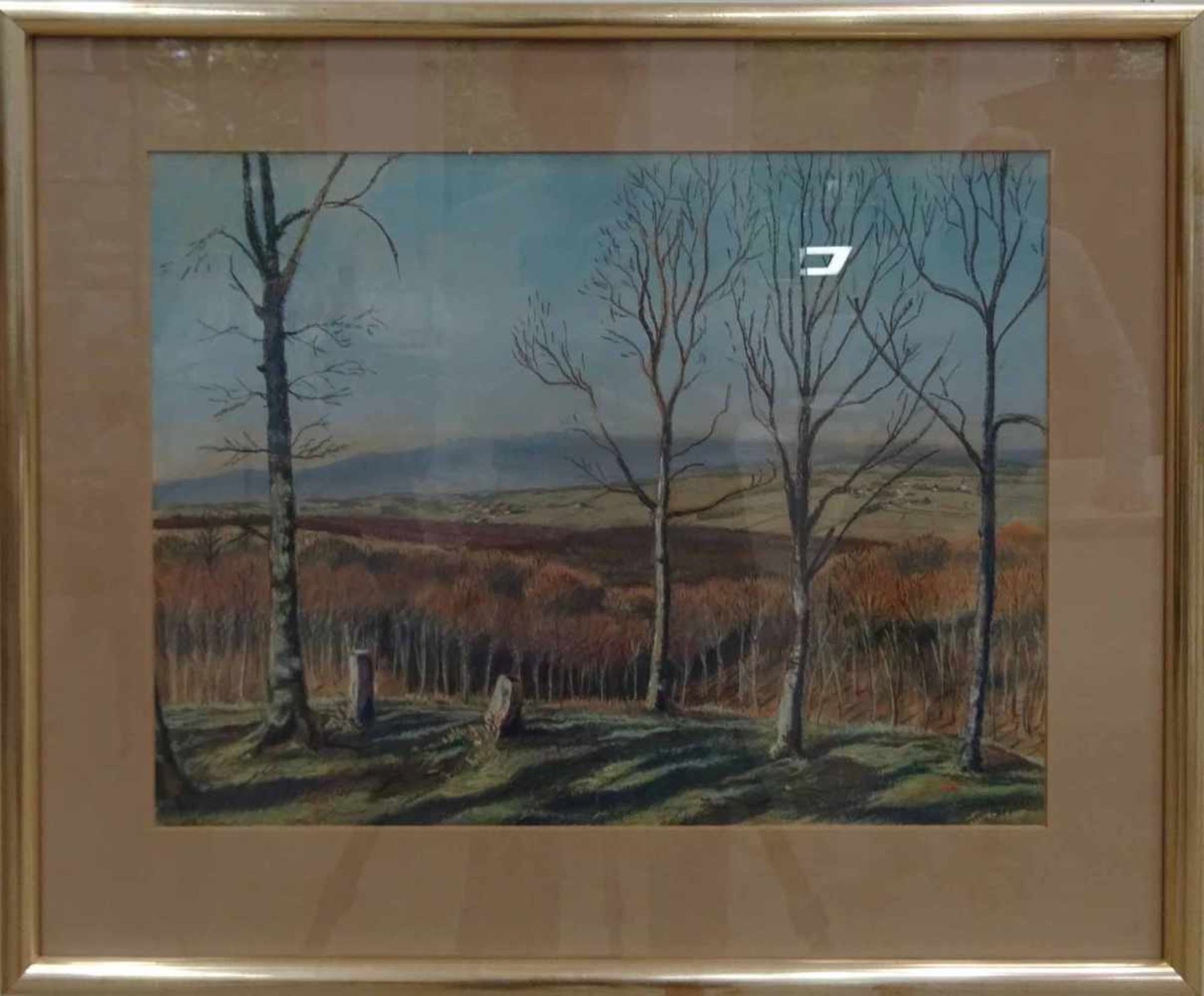 Werner Schutkowski, r.u.sig.dat. 1949, 'Wald von Gojilo', Pastell, 40,5 x 52 cm (PP-A.), verso mit