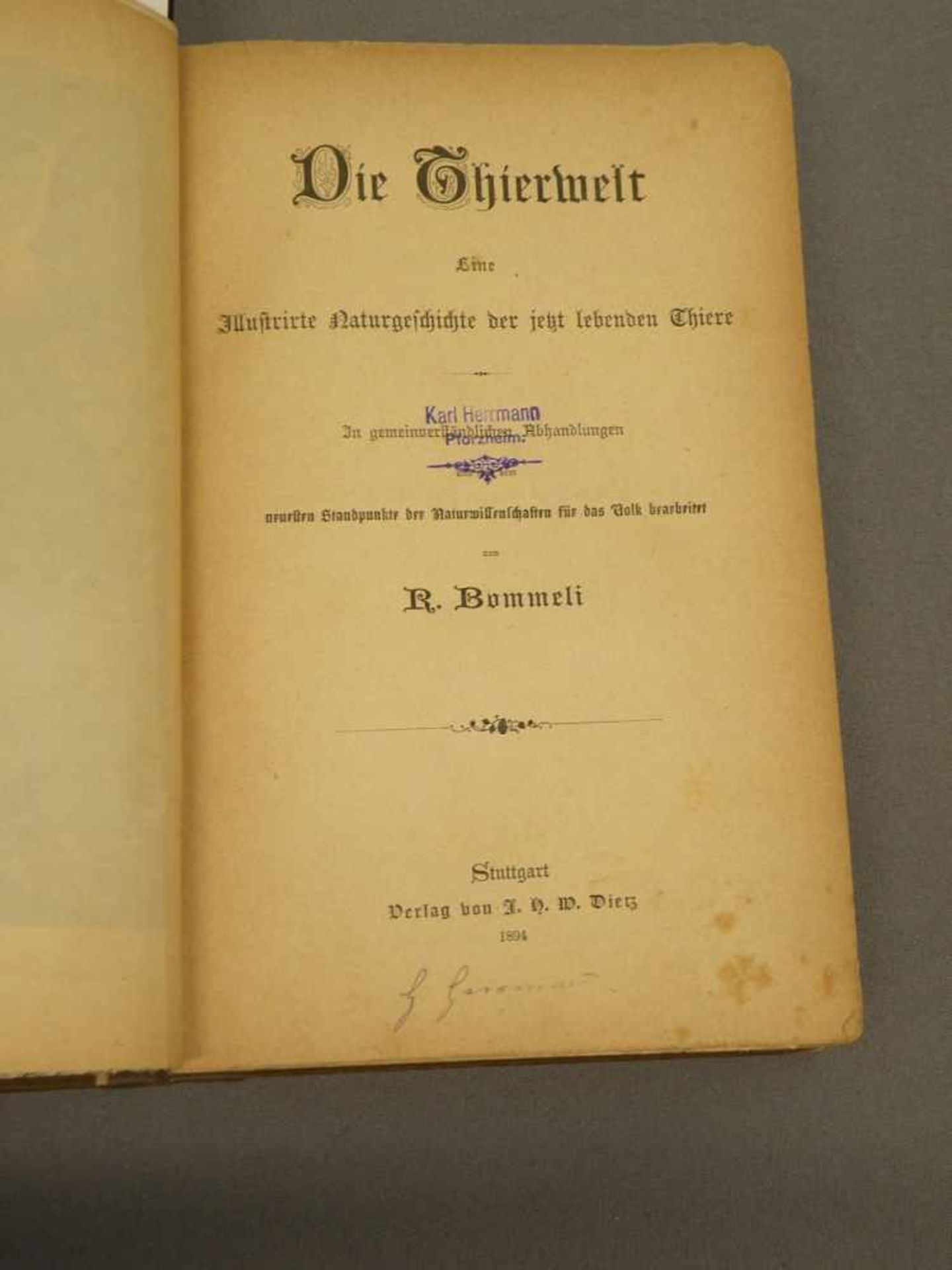 Buch "Illustrierte Tierwelt", Verlag Dietz, Stuttgart, 1894, fleckig