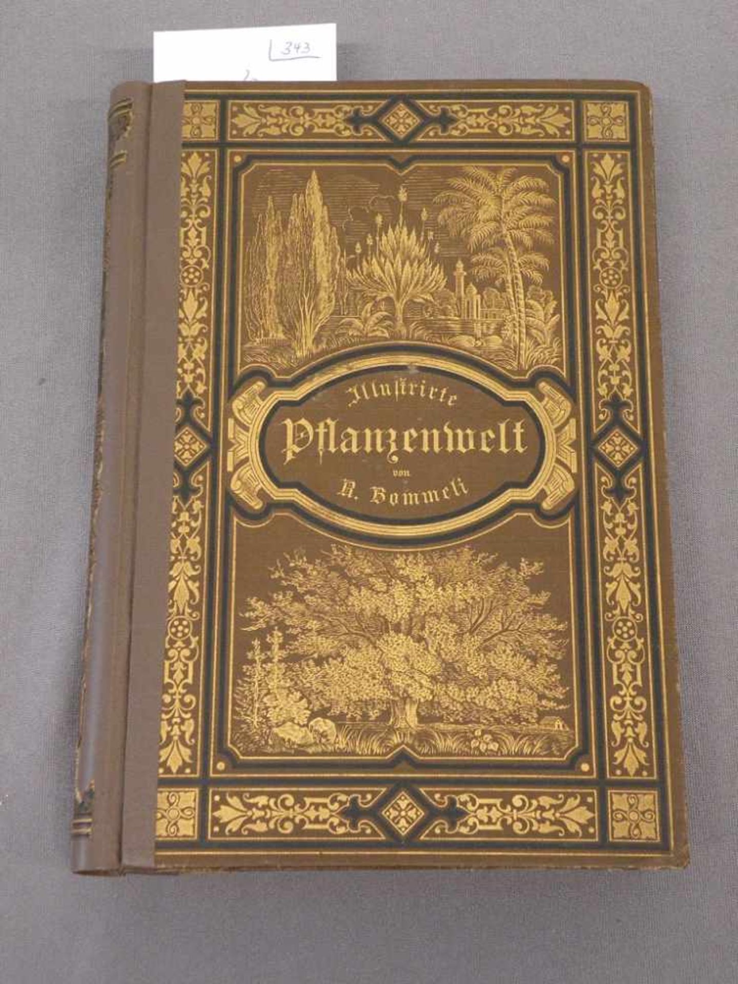 Buch "Illustrierte Pflanzenwelt", Verlag Dietz, Stuttgart, 1894, fleckig