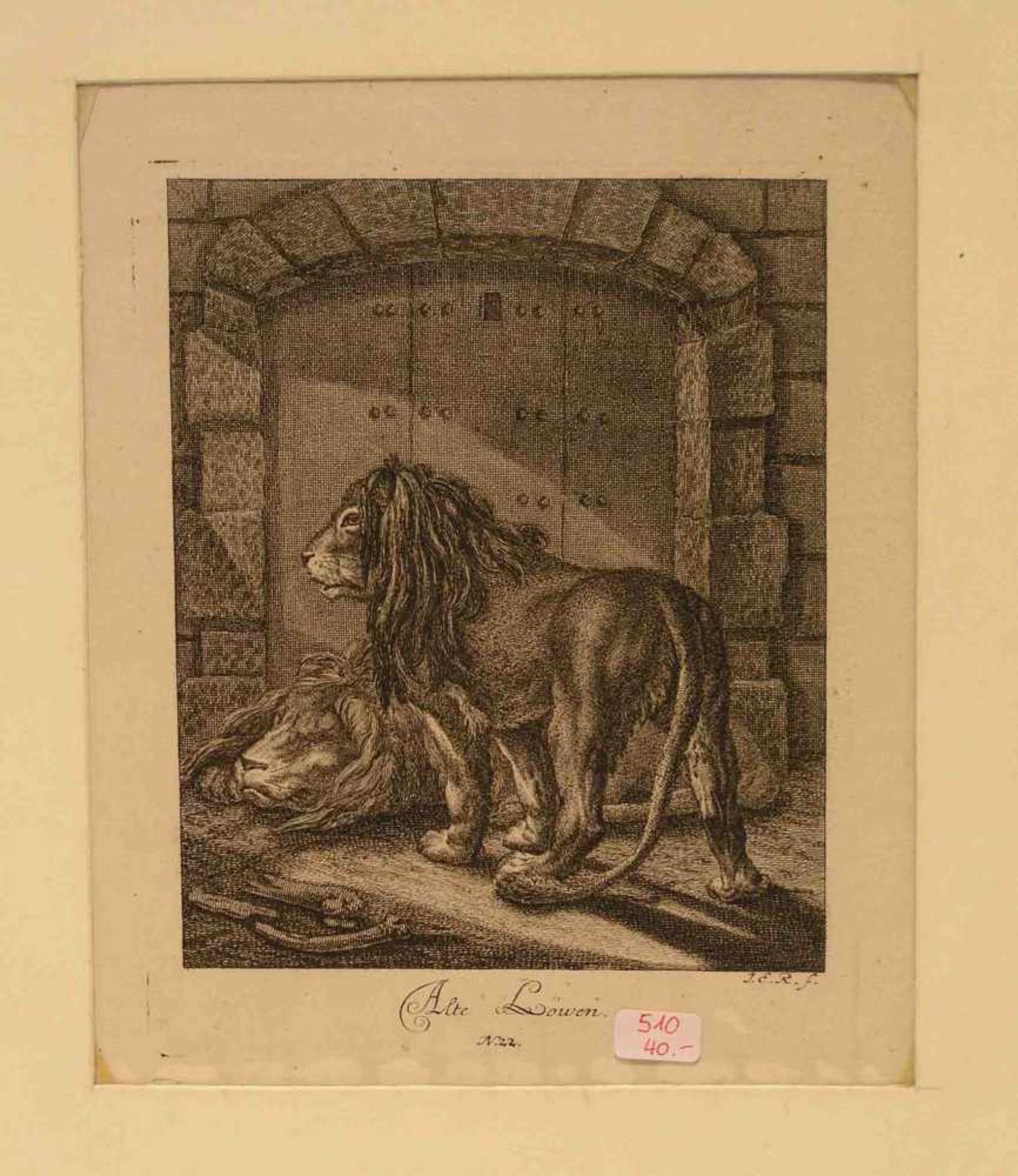 Ridinger, Johann Elias (Ulm 1698 - 1767 Augsburg): "Alte Löwen". Radierung, im Stock<