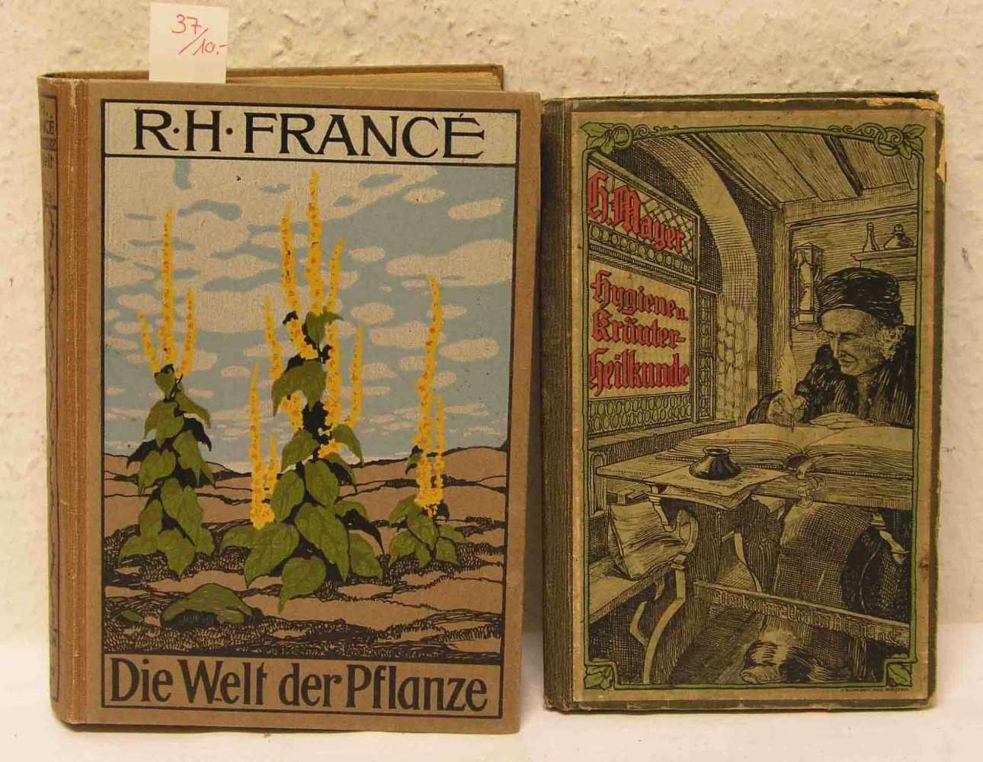 Zwei Bücher. Dabei: R.H. Francé: "Die Welt der Pflanze". Ullstein 1912, H. Mayer: "Hygiene